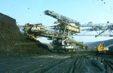RWE chce odszkodowań za odejście od węgla. Za pieniądze odpuści las Hambach