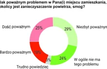 Połowa Polaków nie widzi problemu z zanieczyszczeniem powietrza [Badanie CBOS]