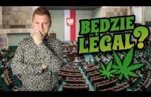 Mestosław: Byłem w sejmie w sprawie legalizacji marihuany.