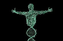 Naukowcy potwierdzają, że ludzkie geny pozostają aktywne nawet po śmierci