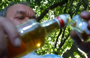Opracowano lek na alkoholizm. Pozwala znacząco ograniczyć picie!