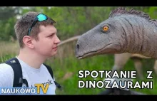Miejsca w Polsce gdzie żyły dinozaury - Krasiejów, Lisowice