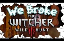 We Broke: The Witcher 3: Wild Cinnamonbiscuit