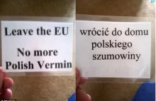 Kartki rozdawane Polakom w UK z napisem: "No more Polish Vermin" po Brexit