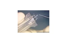 Implantacja soczewki wewnątrzgałkowej
