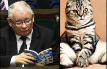 Lichocka-karanie wybranych mediów to "działanie na rzecz wolności słowa"