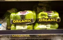 Rośliny organiczne - czyli jakie?