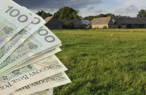 IERiGŻ: dochody rolnicze w 2017 roku wzrosły o 30%