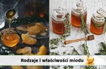 Miód dobry do potraw, lepszy dla zdrowia – najlepszy na przeziębienie!