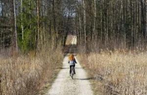 7 weekendowych tras rowerowych i spacerowych na Śląsku