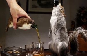 Najmocniejsze piwo w martwej wiewiórce. WTF?!