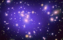Naukowcy dostrzegli 11 galaktyk uciekających