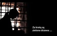 Za krata sa zielone drzewa - zwiastun filmu dokumentalnego