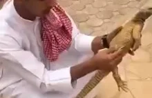 Muslim i jaszczurka...