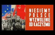 Komunikat Ministerstwa Prawdy nr 537: Zmiana sojuszy w obliczu kaczyzmu