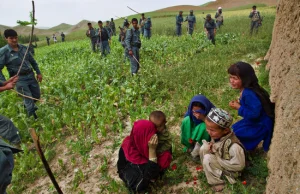 Wojny opiumowe. Reportaż z Afganistanu