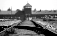 Polska ujawnia listę strażników KL Auschwitz (niemal sami Niemcy). Zdaniem...