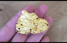 Złoty samorodek znaleziony przy użyciu wykrywacza metali