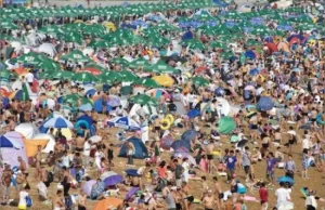 To tutaj miejsce na plaży trzeba rezerwować