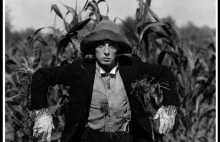 Stare dobre kino - The Scarecrow