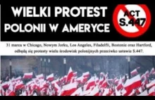 Protesty Polonii przeciwko ustawie 447 ocenzurowane!