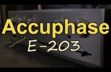 Accuphase E-203 - [Reduktor Szumu]