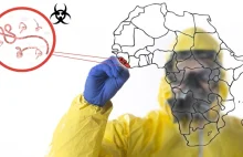 Ebola: katastrofa