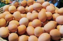 Norwegowie alarmują: salmonella w jajkach z Polski