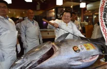 Japonia: rekordowa cena za rekordowego tuńczyka.