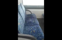 Siedzenia w pociągu w Sydney