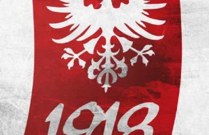 Bez wojska podczas obchodów rocznicy wybuchu powstania wielkopolskiego....