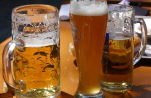 Piwo po treningu lepsze niż woda? Nowe odkrycie naukowców
