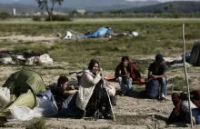 Imigranci wracają do Idomeni. Jest nowe obozowisko