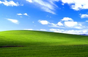 Windows XP jest martwy od roku, a nadal pozostaje popularniejszy od ósemki