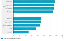 Polacy to najbardziej pracowity naród w Holandii!