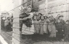 Czy alianci mogli wcześniej położyć kres masowej zagładzie w Auschwitz?