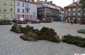 W Kaliszu trawę rozwijają na niedzielę, później ją… zwijają ZDJĘCIA