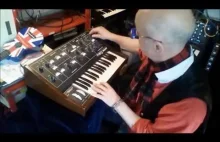 Zasada działania Moog Prodigy