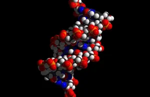 Syntetyczne DNA pokazuje, jak dziwne mogą być obce formy życia