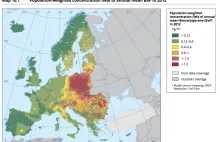 Dymimy najwięcej w Europie! EAŚ publikuje raport