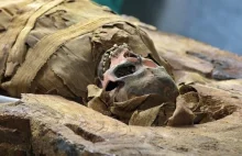 Starożytna mumia egipska zeskanowana w 3D