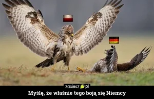 Myślę, że właśnie tego boją się Niemcy