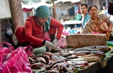 Riddle: Przedsiębiorczość wydobędzie Kambodżę ze skrajnej nędzy