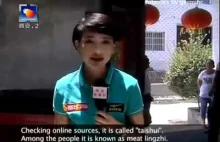 Wpadka Chińskiej TV rolnicy znaleźli tajemniczego grzyba...