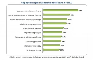 Jakie benefity otrzymują Polacy w pracy (raport)