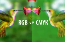 CMYK vs RGB, czyli bajka o tym jak to Pan Błękit uciekł w Fiolet