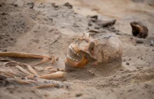 XVI-wieczne szkielety odkryte pod główną ulicą miasta