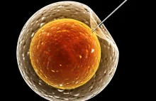 Brytyjscy naukowcy uzyskali zgodę na modyfikowanie ludzkiego zarodka!