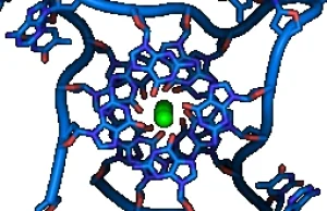 Potencjalne zastosowania terapeutyczne CRISPR-Cas9