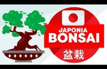 Bonsai, czyli karłowate drzewko. Jedna z ikon Japonii.